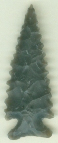 23-279 MORRIS TYPE SERRATED POINT
